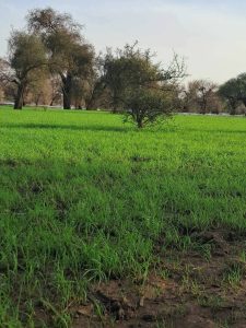 الحوض الشرقي يسجل تساقطات مطرية شملت عدة مقاطعات