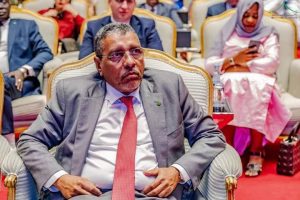 الحوار الوطني… فرصة لمراجعة دستورية بروح التوافق/ادمُ عبدي اجيد