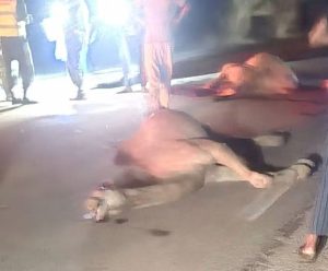 وفاة شخص وإصابة آخرين في حادث سير ببلدية الدفعة